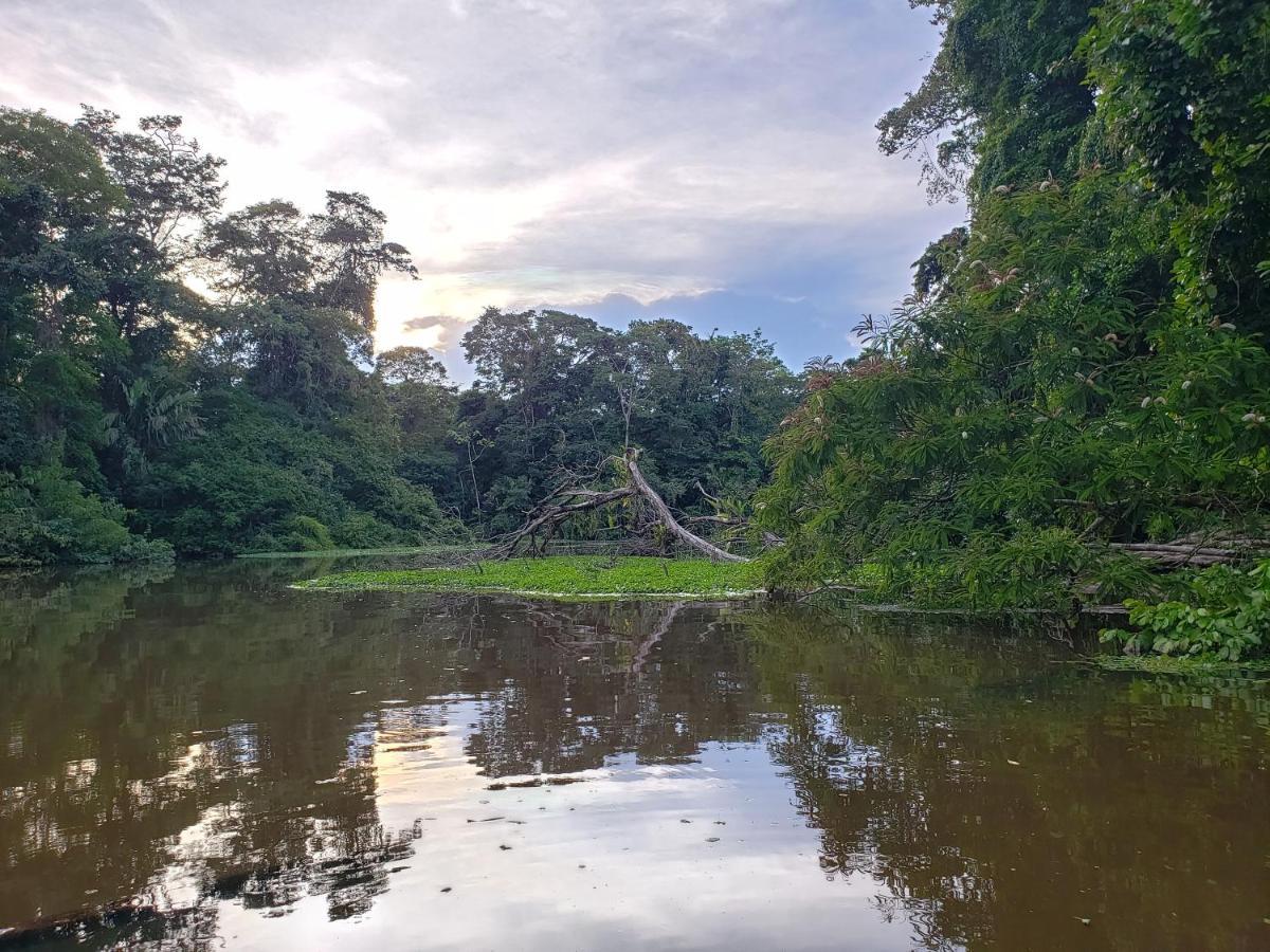 Casa Thirema Tortuguero Hotel Eksteriør billede