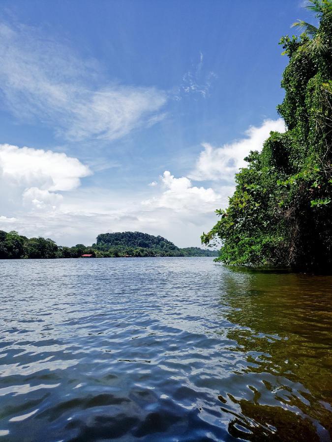 Casa Thirema Tortuguero Hotel Eksteriør billede