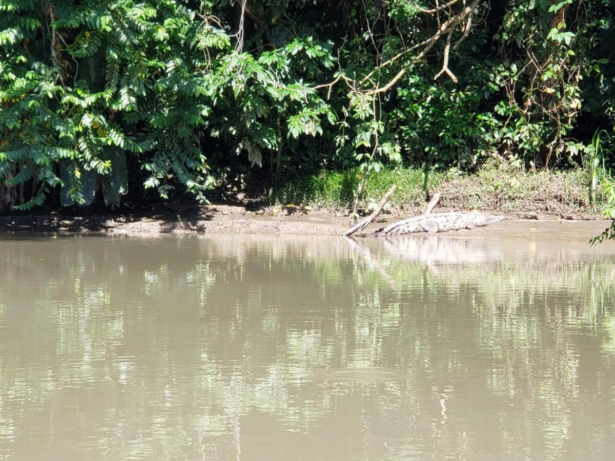 Casa Thirema Tortuguero Hotel Eksteriør billede