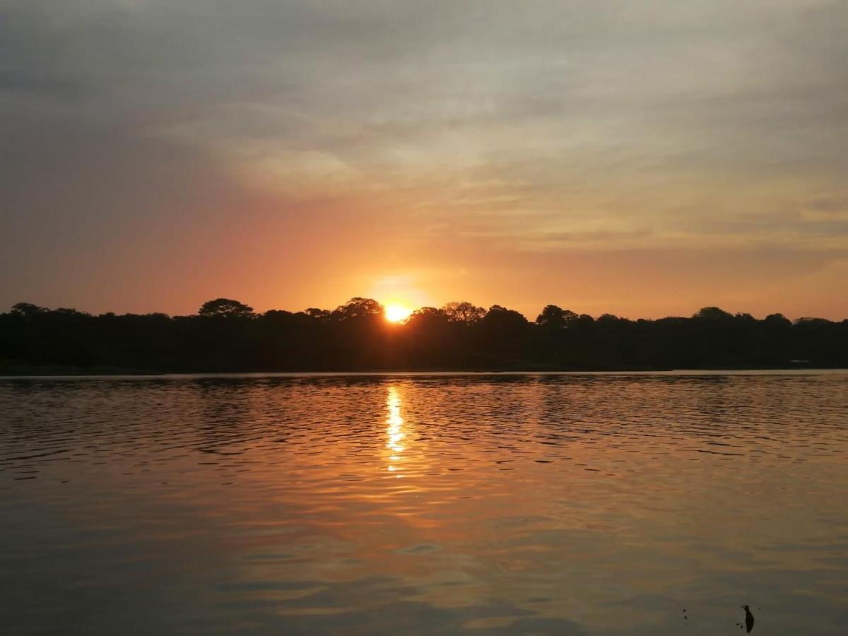 Casa Thirema Tortuguero Hotel Eksteriør billede
